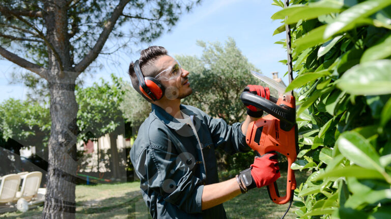 Garden Maintenance Norwich