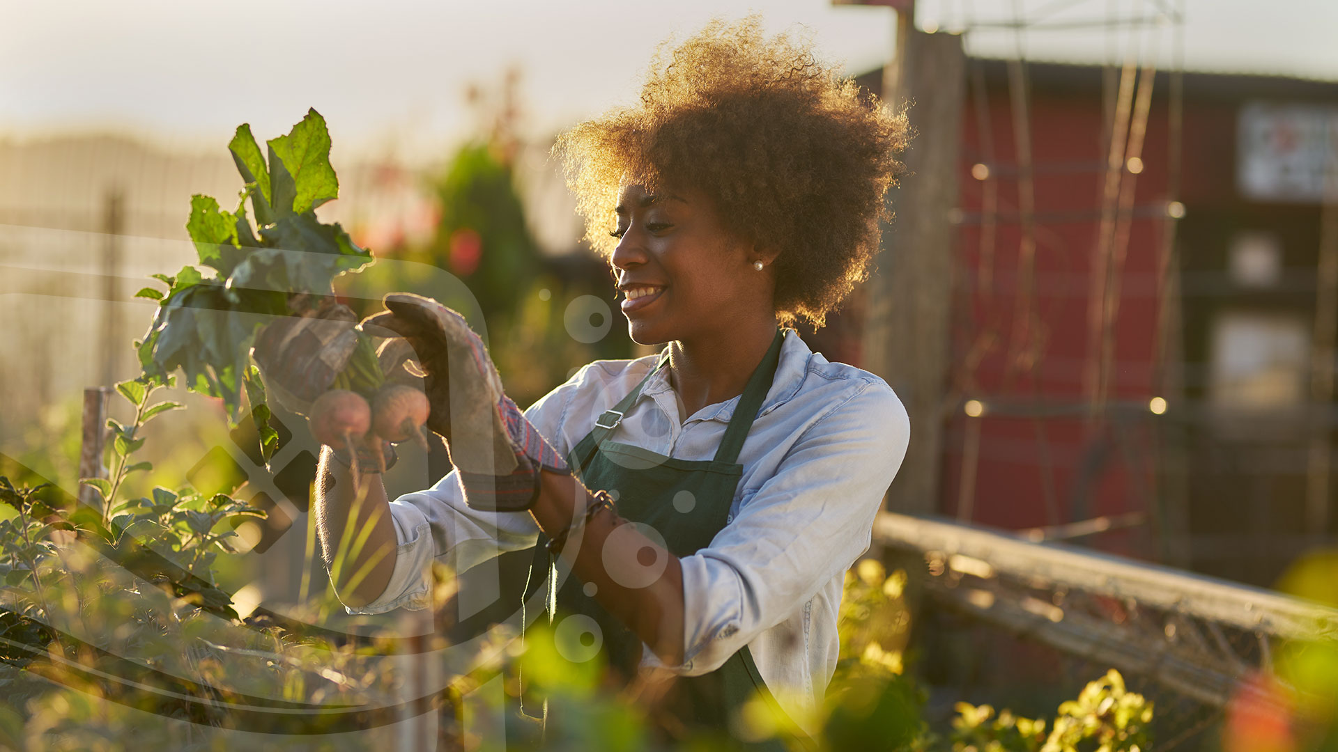 Gardening Services Norwich